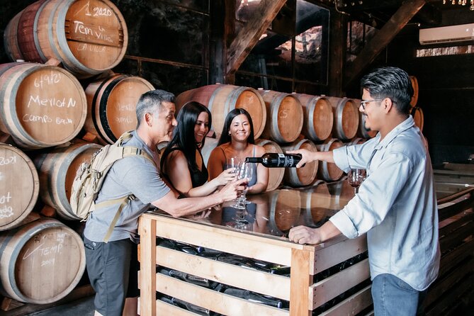 Private Wine Tour by Ansell Tours - Stop 2: Vina de Frannes for Mexican Wine and Vineyard Time
