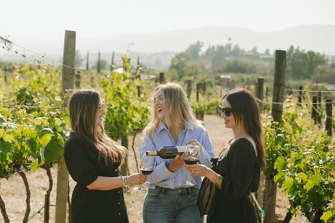 Private Wine Tour by Ansell Tours - Pickup and Timing: Getting In, Getting Out, and Staying on Schedule