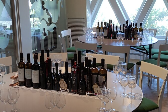 Private Wine Tour in 3 Wineries with 12 Wine Tastings and Tapas - Price and logistics: why the transportation matters here
