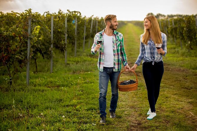 Private Wine Tour in Niagara-on-the-Lake w/ cheese & charcuterie - Inniskillin Wines: the easiest way to start tasting with choices