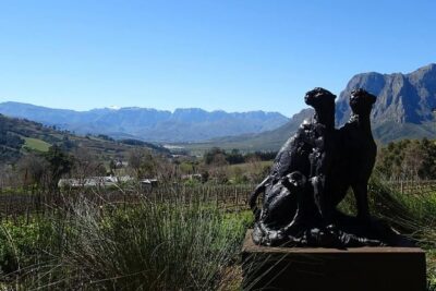 Private Wine Tour with Wine Expert to Stellenbosch-Franschhoek Wine Regions - Getting There From Cape Town: Pickup and a Calm Start