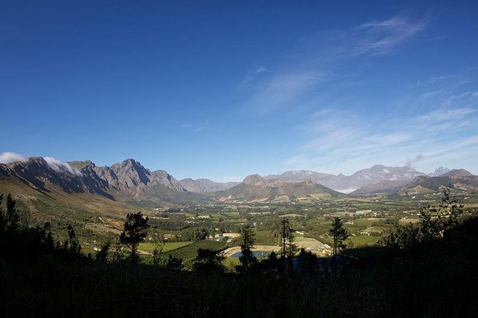 Private Wine Tour with Wine Expert to Stellenbosch-Franschhoek Wine Regions - Stop 4: Stark-Conde to Finish Strong