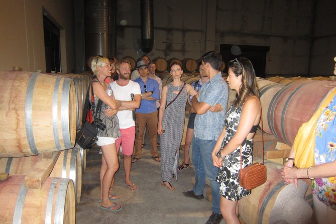 Private Wine Tour with Wine Tasting and Full Lunch (day trip) - Pickup, Timing, and How to Plan Your 9:30 Start