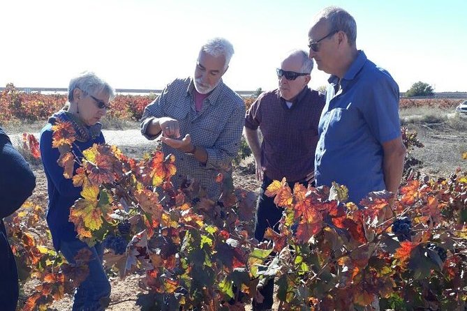 Private Wine Tour with Wine Tasting and Full Lunch (day trip) - The Two Tastings and the Three-Course Lunch: How It All Fits Together