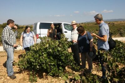 Private Wine Tour with Wine Tasting and Full Lunch (day trip) - Stop 1: Murviedro (Bodega Historica) Under Requena’s Old Center