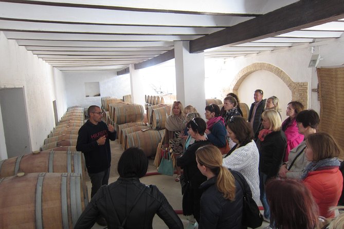 Private Wine Tour with Wine Tasting and Full Lunch (day trip) - Small Practicalities That Make the Day Easier