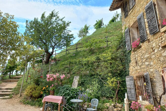 Prosecco Hills Day Trip from Venice & Treviso: 2 Wineries - Key things to know before you go