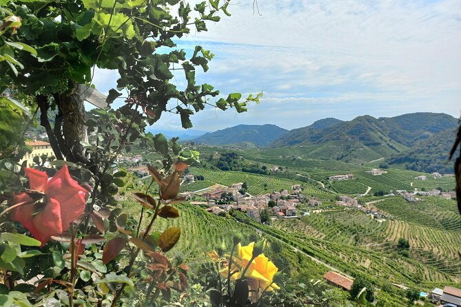 Prosecco Hills Day Trip from Venice & Treviso: 2 Wineries - Historic Valdobbiadene winery: where DOCG becomes real