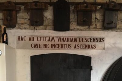 Prosecco Hills Day Trip from Venice & Treviso: 2 Wineries - Treviso pickup and the shift into Prosecco rhythm