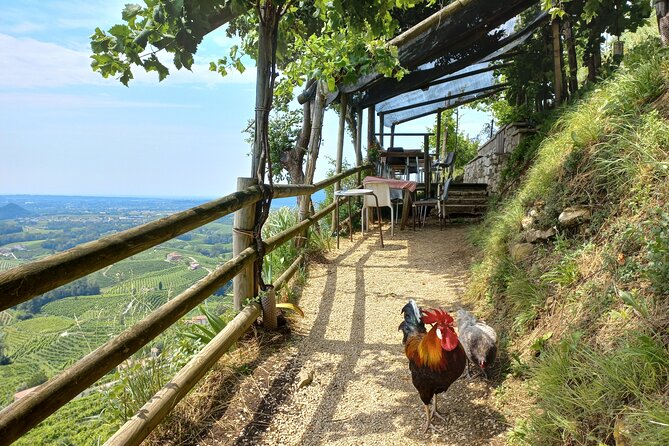 Prosecco Hills Day Trip from Venice & Treviso: 2 Wineries - Second iconic Valdobbiadene winery: 4 DOCG pours and local snacks