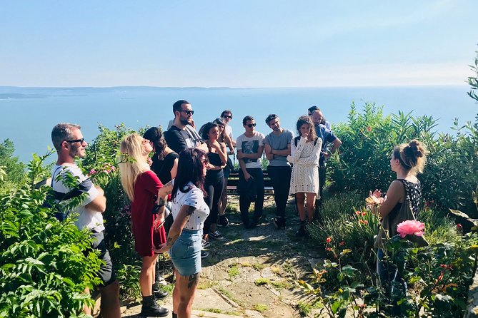 Prosecco Origins Wine Experience - Prosecco Origins in Trieste: What You’re Really Buying