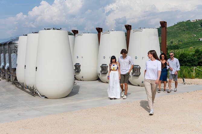 Prosecco tasting, appetizers and tour of the cellar and vineyards - The flow of the 1.5-hour experience, from tasting room to photo point