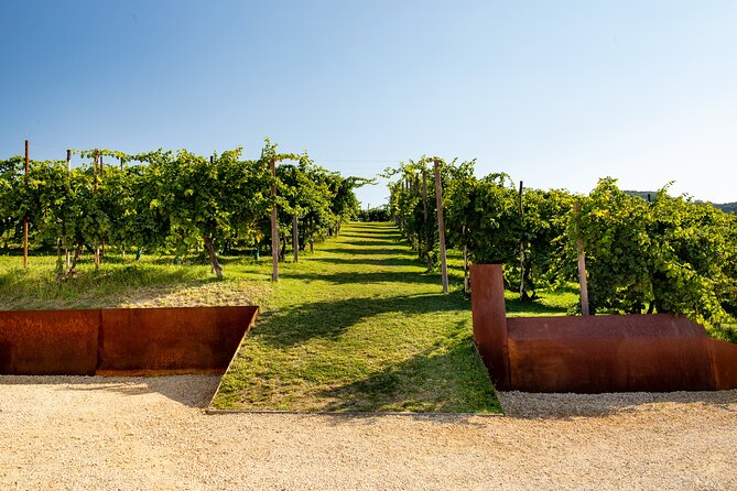 Prosecco tasting, appetizers and tour of the cellar and vineyards - Four glasses of Cartizze: Brut, Dry, and the organic bottlings