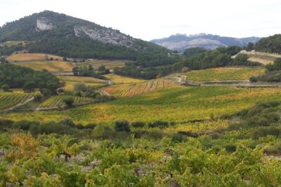 Provence Cru Wine Small-Group Half-Day Tour from Avignon - Gigondas first: why the Roman name matters for your glass