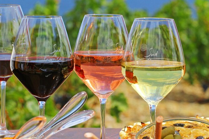 Provence Organic Wine Tasting Half Day Tour from Nice - Key things to know before you go