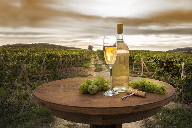 Provence Organic Wine Tasting Half Day Tour from Nice - From Nice to Provence in about 5 hours