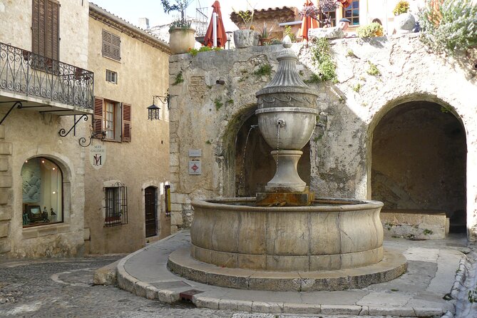 Provence Organic Wine Tasting Half Day Tour from Nice - Who this half-day tour suits best