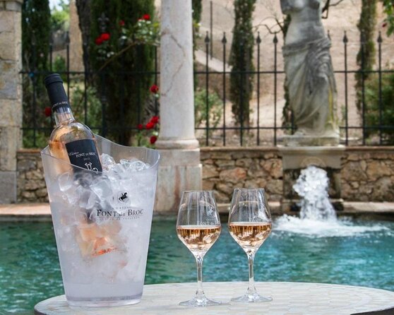 Provence Wine Tour - Private Day Tour from Nice - Key Highlights That Make This Tour Worth Your Time