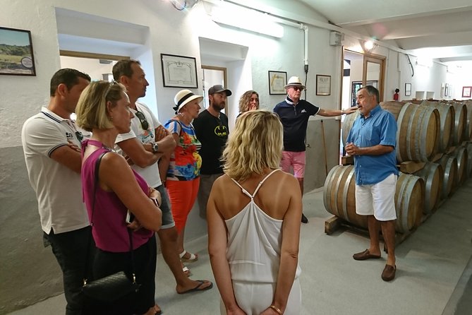 Provence Wine Tour - Private Day Tour from Nice - Stop 1: Château De Saint-Martin and the Cru Classé Masterclass