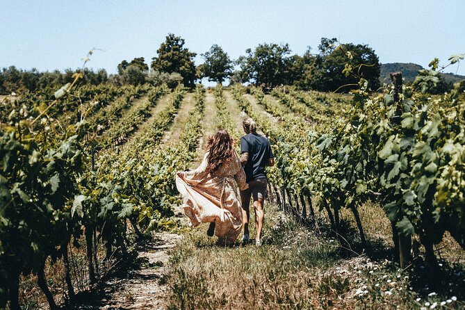 Provence Wine Tour - Small Group Tour from Nice - The Tastings: About 15 Reds, Whites, and Rosés