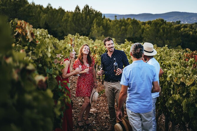 Provence Wine Tour - Small Group Tour from Nice - Getting There Comfortably From Nice (and Back)