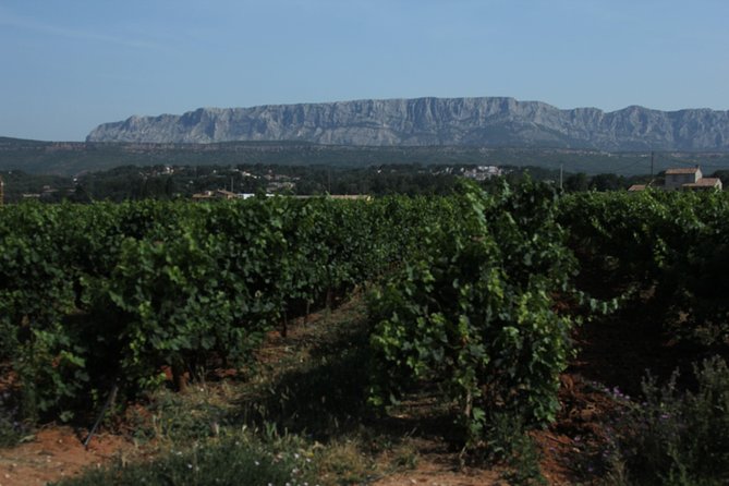 Provence Wineries and Luberon Villages Day Trip from Aix-en-Provence - A Small Group on an Air-Conditioned Minibus (and Why It Matters)