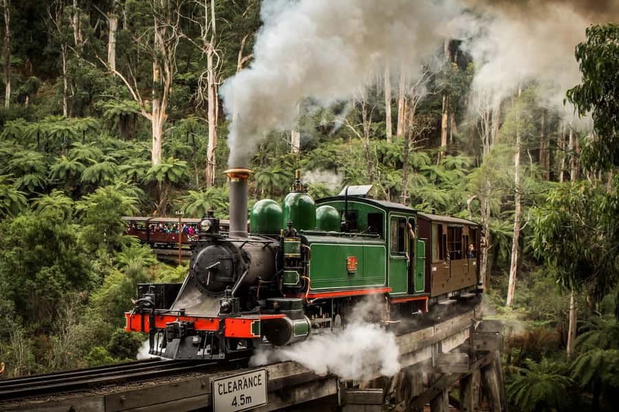 Puffing Billy Penguin Parade Winery Chocolaterie All-in-One - Key takeaways