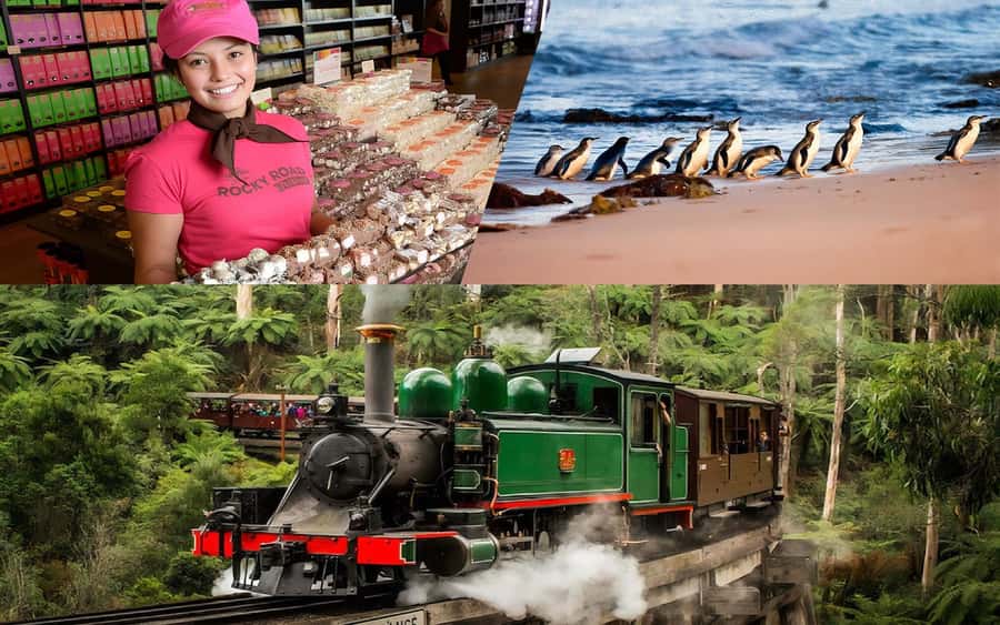 Puffing Billy Penguin Parade Winery Chocolaterie All-in-One - The big idea: stacking Yarra Valley, a steam train, and Phillip Island penguins