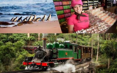 Puffing Billy Penguin Parade Winery Chocolaterie All-in-One - Getting to the start: departure timing and how pickup works