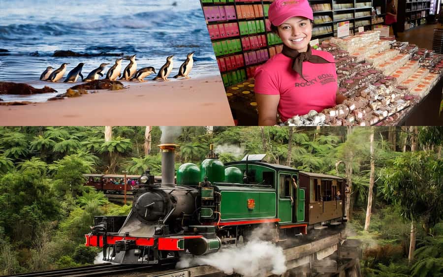 Puffing Billy Penguin Parade Winery Chocolaterie All-in-One - Getting to the start: departure timing and how pickup works