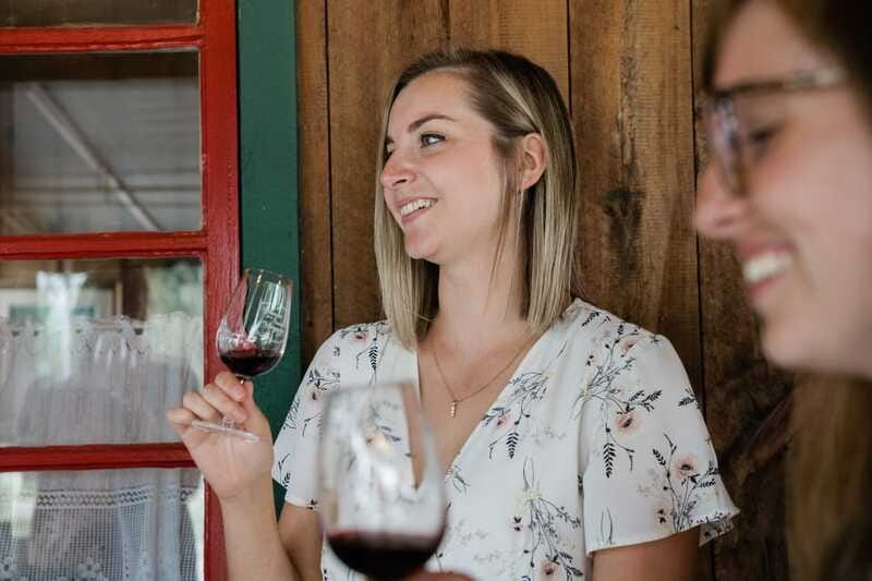 Quebec City: Island of Orleans Wine Tour - What you’ll actually do: tastings, vineyard walks, and production explanations