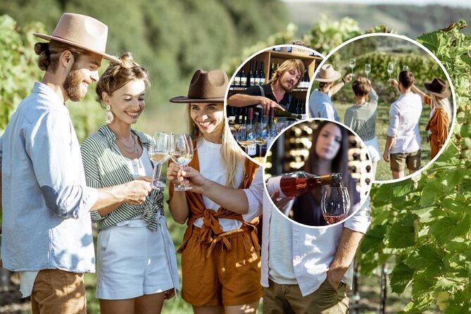 Queenstown Afternoon Wine Tour - Peregrine | Kinross | Amisfield - Gibbston Valley Wines: the cool-climate start that sets expectations