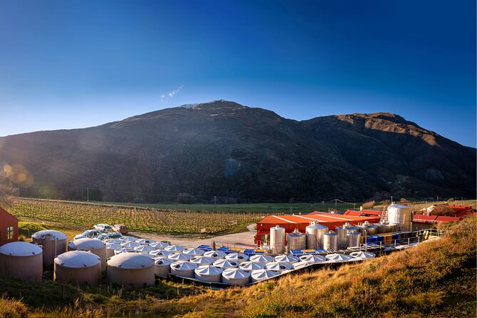 Queenstown Afternoon Wine Tour - Peregrine | Kinross | Amisfield - Price and value: is $166.93 fair for this afternoon?