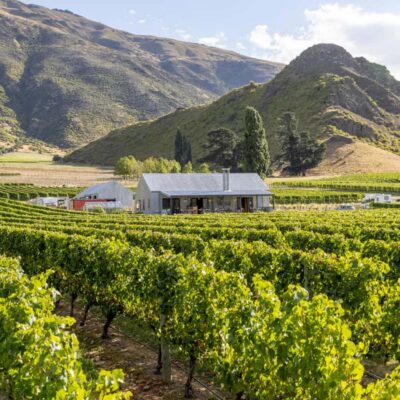 Queenstown, Arrowtown, Gibbston: Flexible Wine Hopper Tours - Picking your wineries: Arrowtown plus Gibbston in one easy loop
