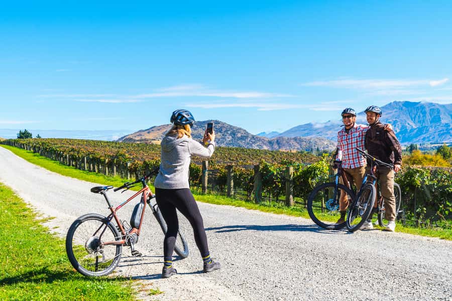 Queenstown: Self-Guided Gibbston Valley Wineries Bike Tour - Price and what $56 buys you in real life