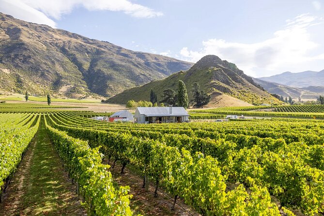 Queenstown Wine & Food Tour: Scenery, Tastings & Delicious Lunch! - Who Should Book This Tour (and Who Should Save Their Time)
