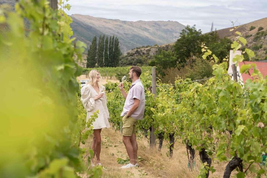 Queenstown: Wine & Food Tour, Scenic Tastings & Paired Lunch - Your Guide: The Real Engine Behind the Day