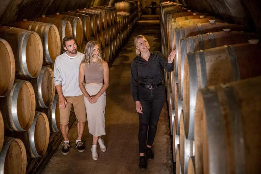 Queenstown: Wine & Food Tour, Scenic Tastings & Paired Lunch - Who This Tour Fits Best (and Who Might Want a Different Style)