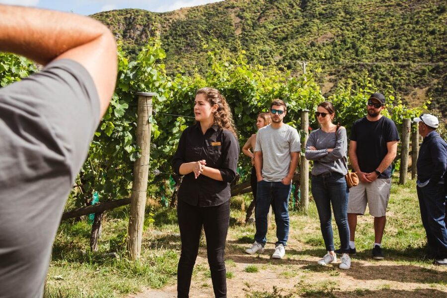 Queenstown: Wine Tasting Tour - Price and value: what you get for $134
