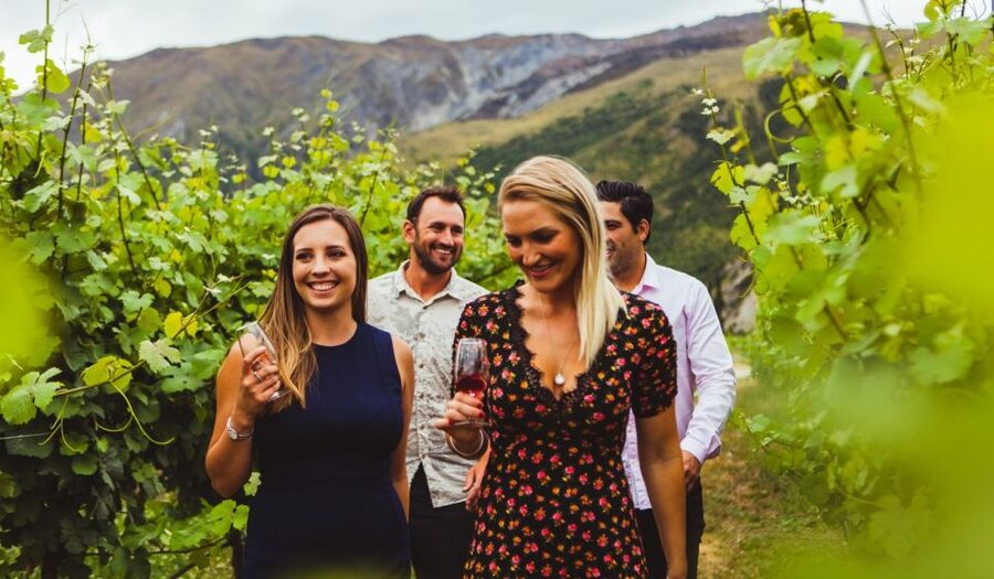 Queenstown: Wine Tasting Tour - What 18+ tastings really means for your palate