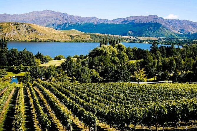 Queenstown Wine Tour - Dinner Drop-Offs: Arrowtown and Ayrburn (So Your Night Doesn’t Fall Apart)