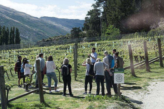 Queenstown Wine Tour - Gibbston Valley Cave | Kinross | Amisfield - Quick hits before you go
