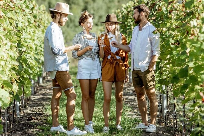 Queenstown Wine Tour - Gibbston Valley Cave | Kinross | Amisfield - What you’re really buying with this Queenstown wine tour