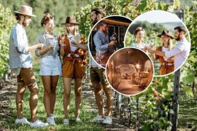 Queenstown Wine Tour - Gibbston Valley Cave | Kinross | Amisfield - Stop 1: Gibbston Valley Winery and the guided wine cave (30 minutes)