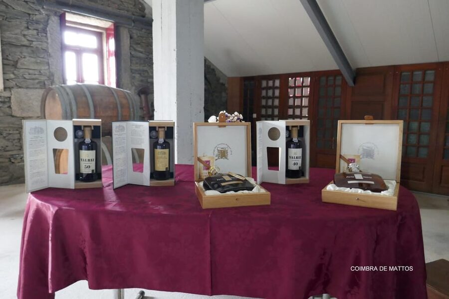 Régua: Wine tasting at a Quinta, traditional lunch, cruise, and train ride - A Régua day built for wine people, not just wine tourists