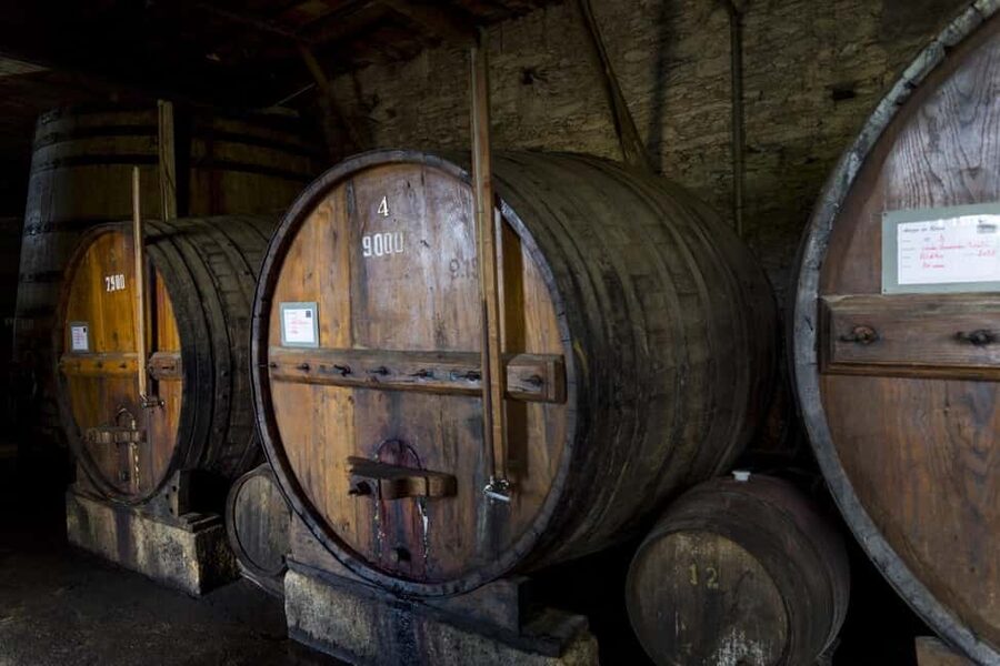 Régua: Wine tasting at a Quinta, traditional lunch, cruise, and train ride - Coimbra de Mattos wine tasting: five bottles, real estate energy