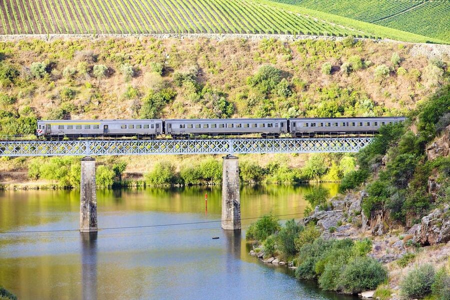 Régua: Wine tasting at a Quinta, traditional lunch, cruise, and train ride - Douro cruise from Régua to Pinhão: the day’s slow-motion highlight
