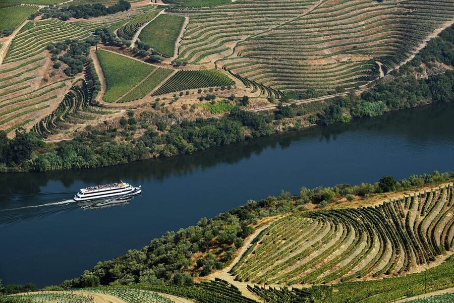 Régua: Wine tasting at a Quinta, traditional lunch, cruise, and train ride - Meet-up details and how to show up ready