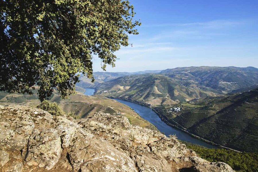 Régua: Wine tasting at a Quinta, traditional lunch, cruise, and train ride - Why this feels different from a Porto-based Douro day