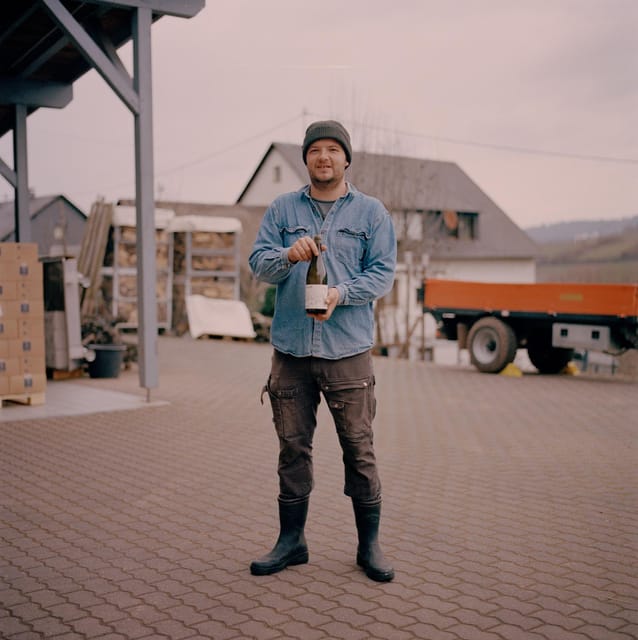 Reil, Mosel: Guided organic wine tasting and cellar tour - Organic wine in the Mosel: why this tour feels practical